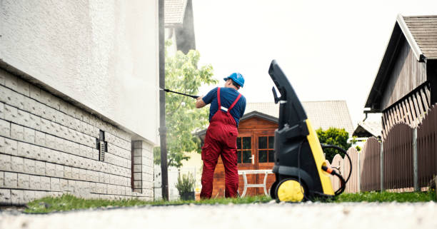 Best Roof Cleaning and Mildew Removal in Belvedere Park, GA